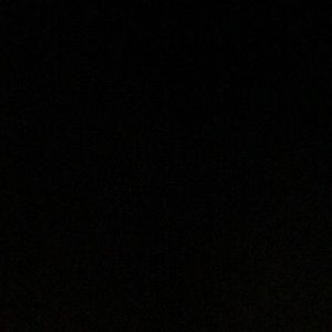 Meet your Posher, Dawson